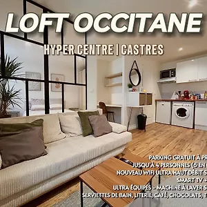  Appartement Loft Occitane Hyper Centre Castres