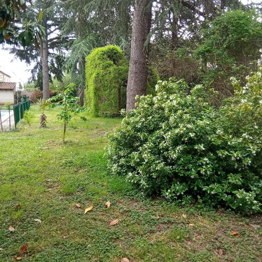 Chez Ben Avec Tout Le Confort Clim Wifi Netflix Gratuit Castres  Apartment